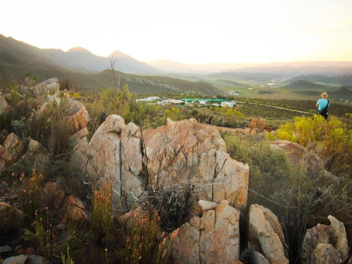 Villa Starry Starry Night - Route 62 Montagu Exterior foto