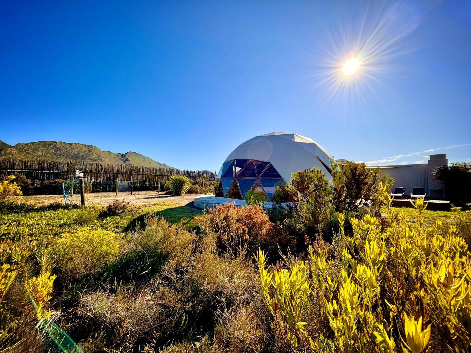 Villa Starry Starry Night - Route 62 Montagu Exterior foto
